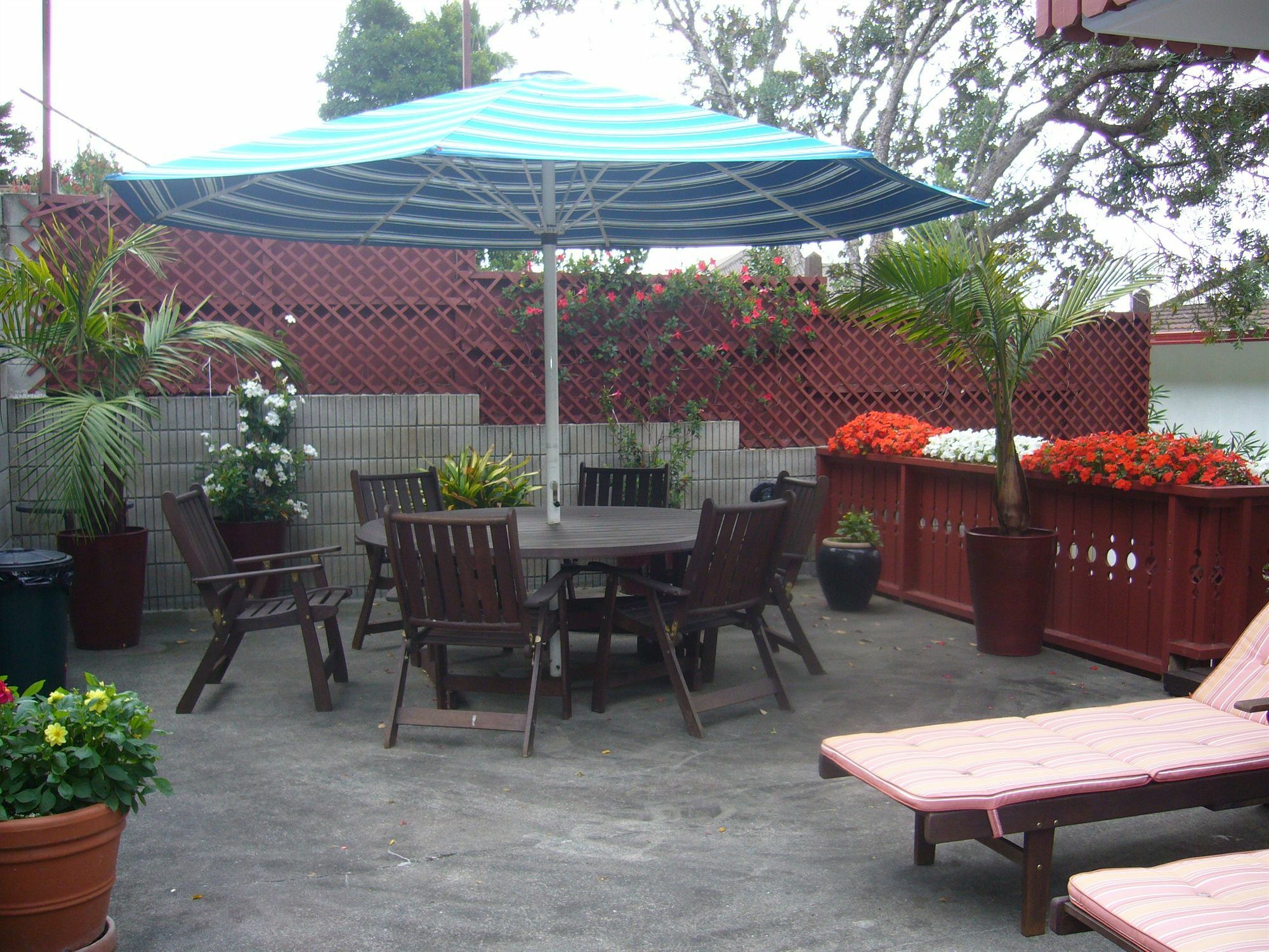 Swiss Chalet Lodge Motel Paihia Exterior photo
