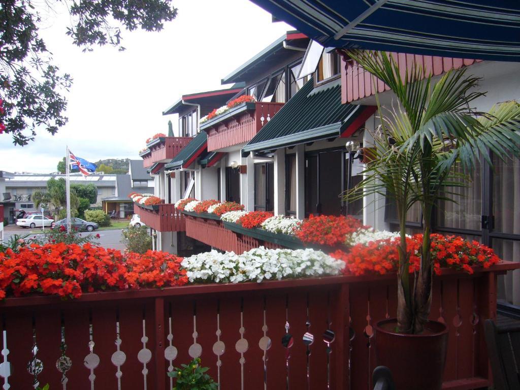 Swiss Chalet Lodge Motel Paihia Room photo